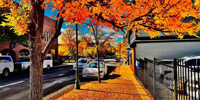 Street lined with cars and buildings, trees showing bright orange autumn foliage, and fallen leaves covering the sidewalk—perfect reminders of seasonal beauty and a cue for autumn maintenance tips from Clyde Paul Insurance.